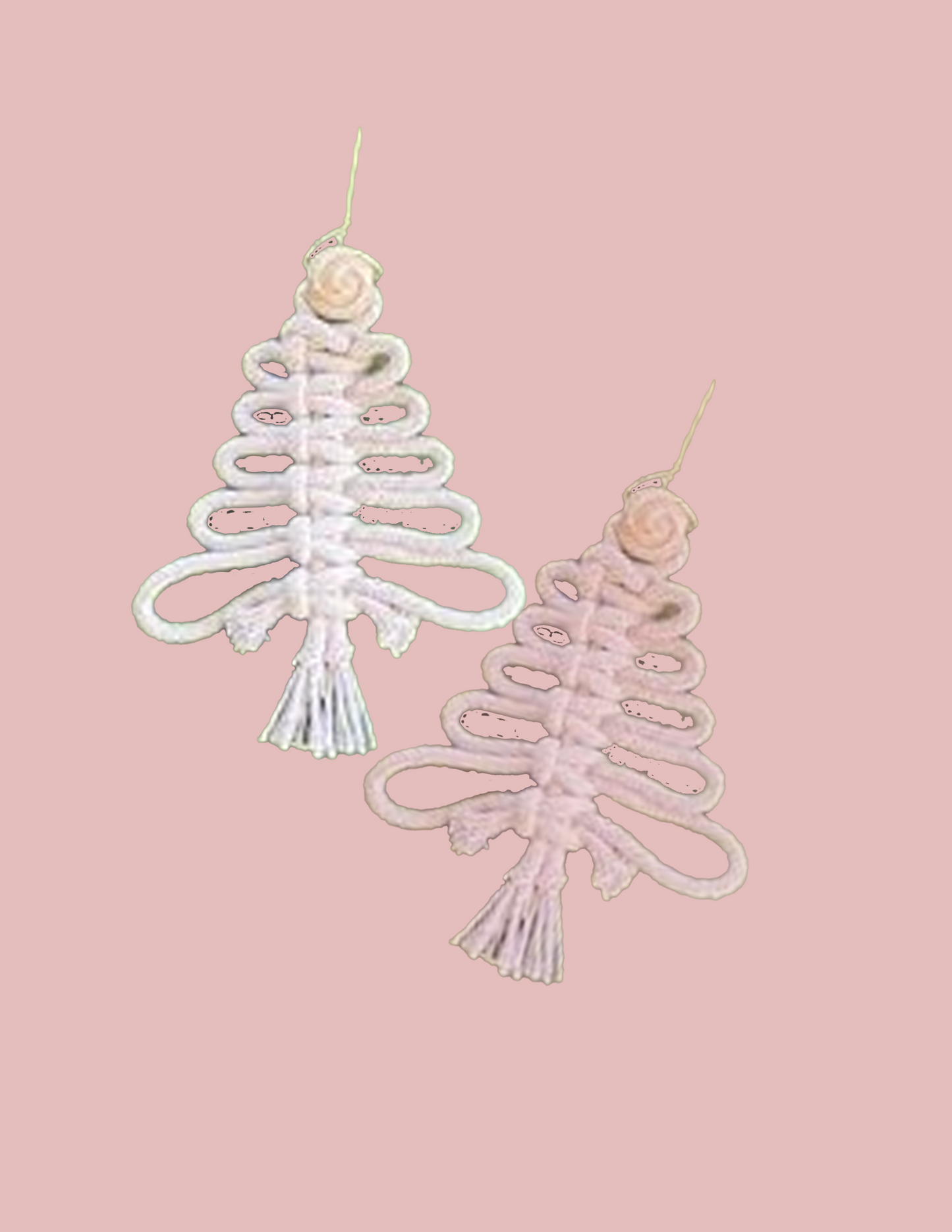 1 Hour Workshop - Macrame Trees